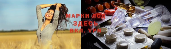 винт Алзамай