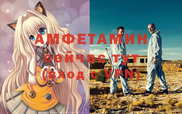 винт Алзамай
