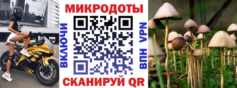 блэк спрут зеркало  Асбест  Галлюциногенные грибы MAGIC MUSHROOMS 